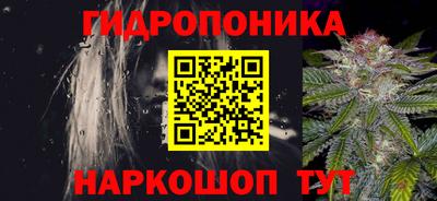гидра Тверь