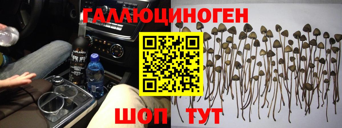 Галлюциногенные грибы Cubensis  Галлюциногенные грибы мухоморы  Нурлат  Вход с VPN 